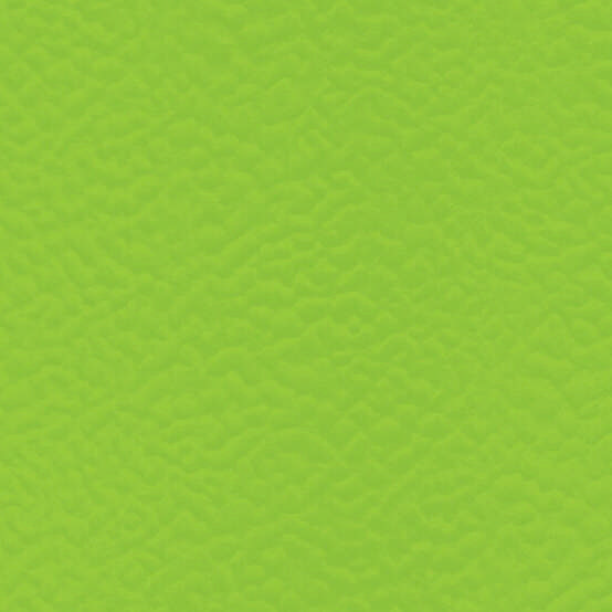 Sportgolv TARAFLEX Surface 2,1, spring