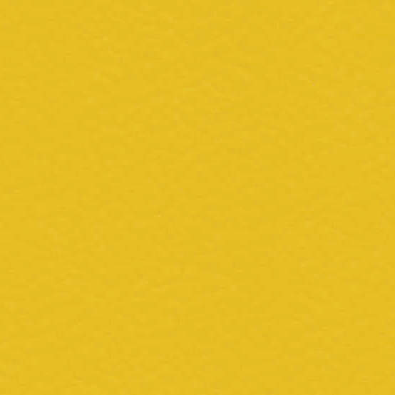 Sportgolv TARAFLEX Surface 2,1, gold