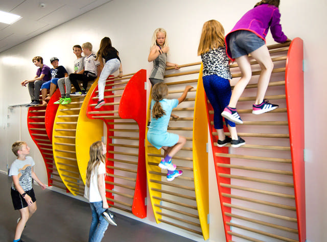 Organisk ribbe model 4.