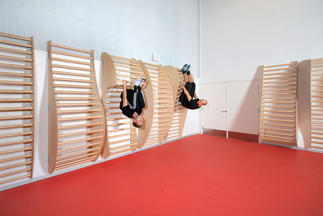 Organisk ribbe model 5.