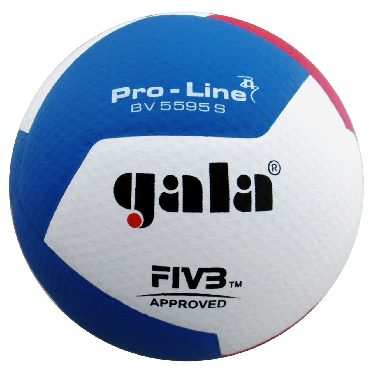 Volleyball GALA Pro-Line BV5595S