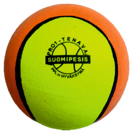 Pesäpallo Pro 1 Tenava, PPL:n hyväksymä