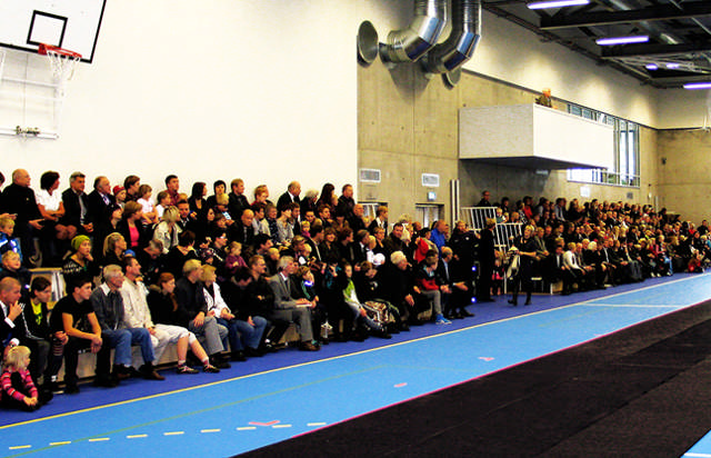 Tribune sammenfellbar 5 rader