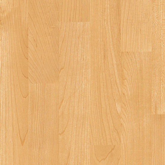 Sportgolv TARAFLEX Surface 2,1, maple design