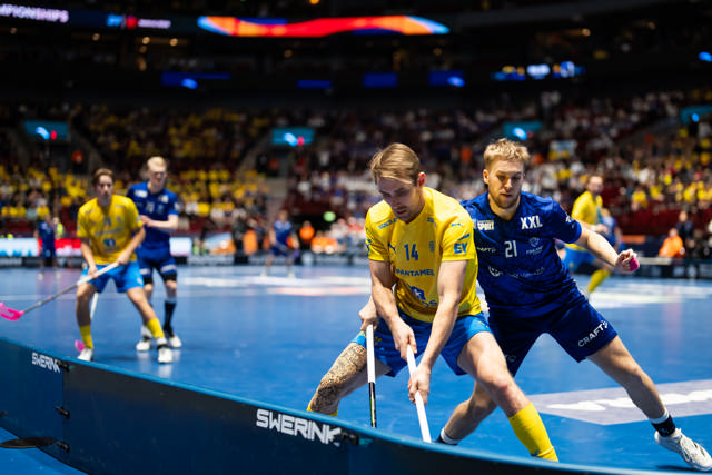 Innebandyvant Swerink Elite