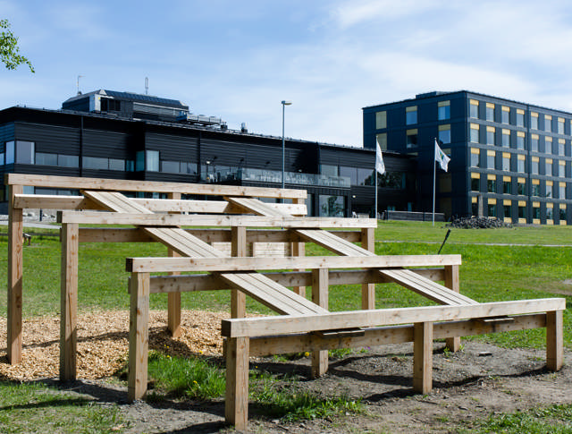 Fyrstegsbom, hinderbana