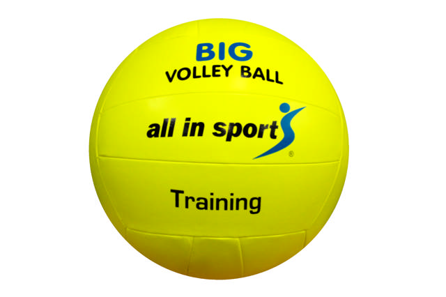 Stor volleyboll