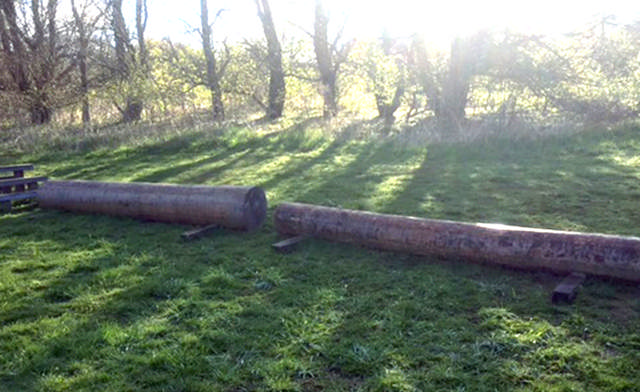 Balansstock i lärk, lek/motorik