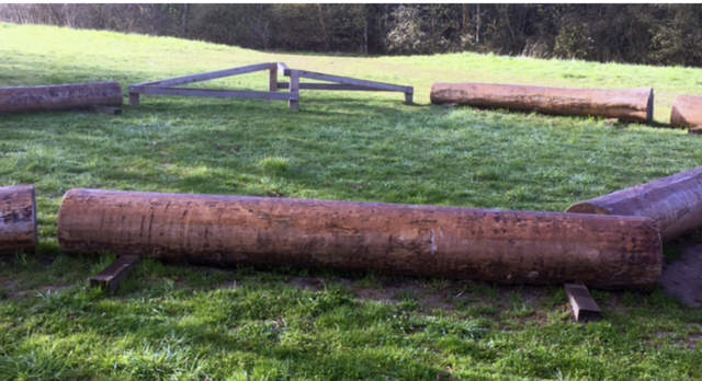 Balansstock i lärk, lek/motorik