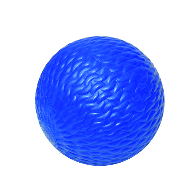 Rinkbandyboll blå