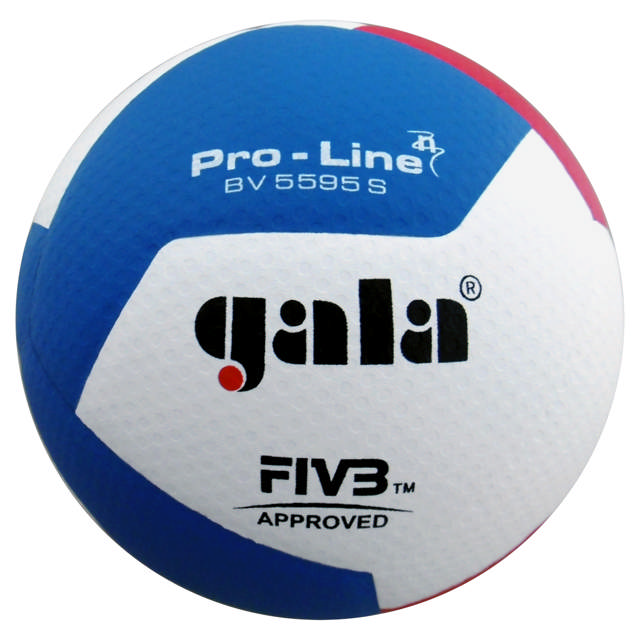 Volleyball GALA Pro-Line BV5595S