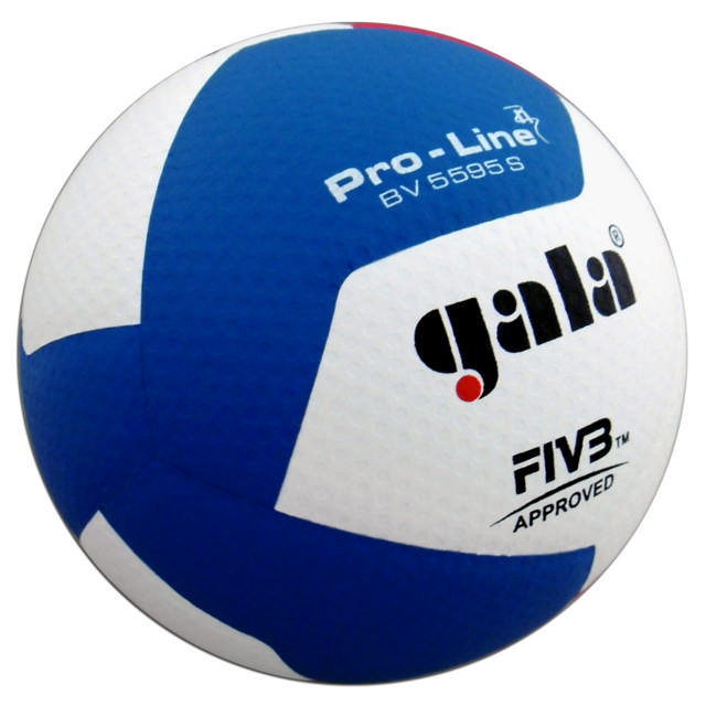 Volleyball GALA Pro-Line BV5595S
