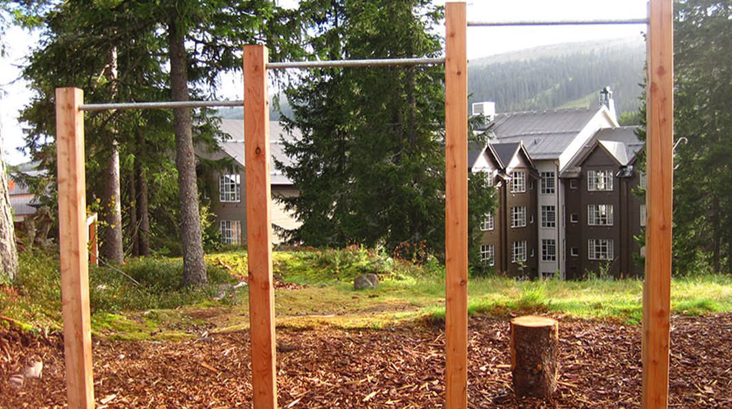 Armhävningsstång 3:a, 3 höjder