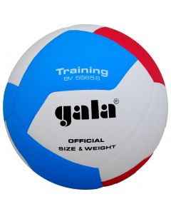 Volleyboll GALA Training 5565S