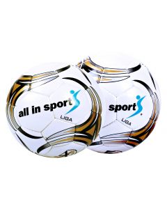 Jalkapallo All in sport Liga